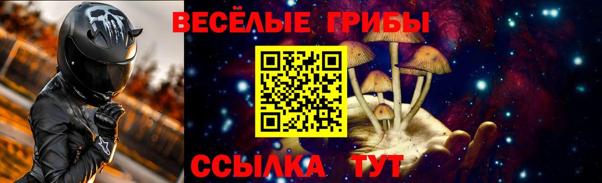 купить наркоту  Вход с VPN  Галлюциногенные грибы Psilocybine cubensis  Кимры  Галлюциногенные грибы Cubensis 